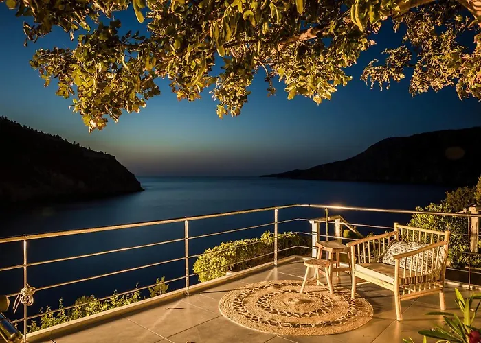 Braunis Horio * Asos