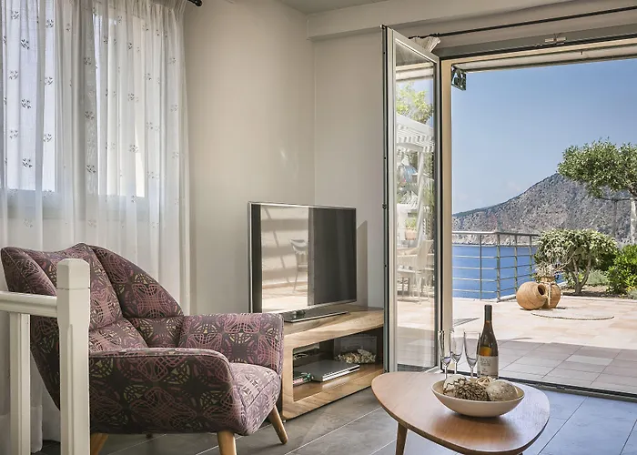 Braunis Horio * Asos