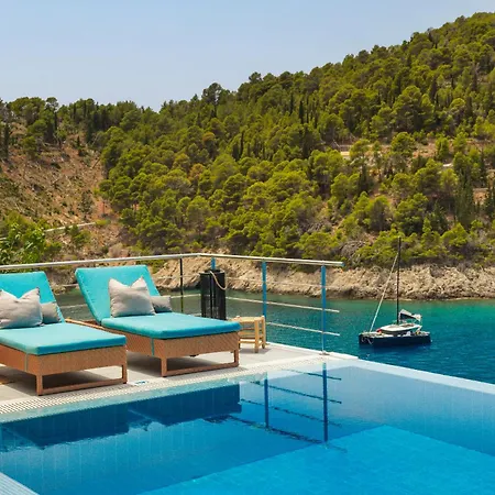 Braunis Horio * Asos