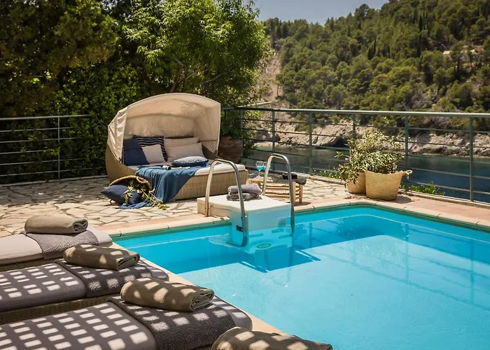 Braunis Horio * Asos