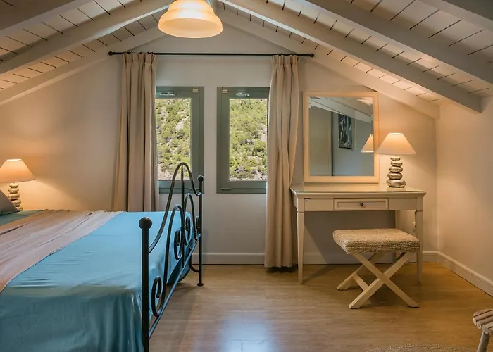 Braunis Horio * Asos