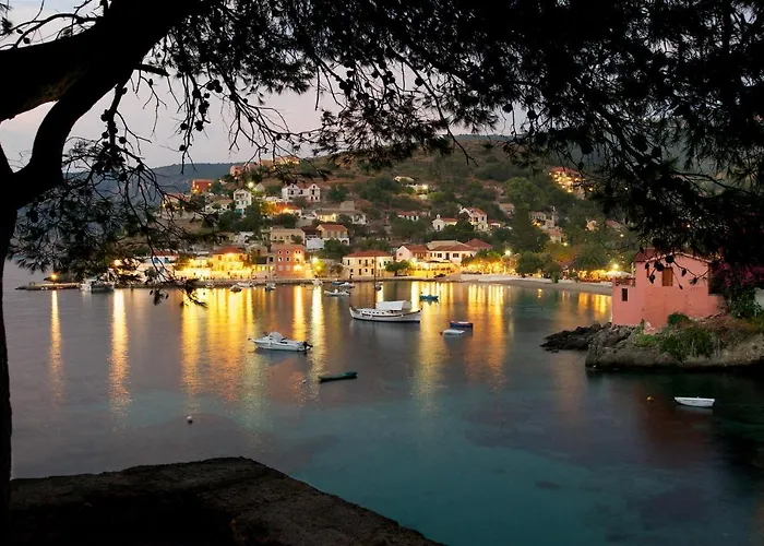 Braunis Horio * Asos