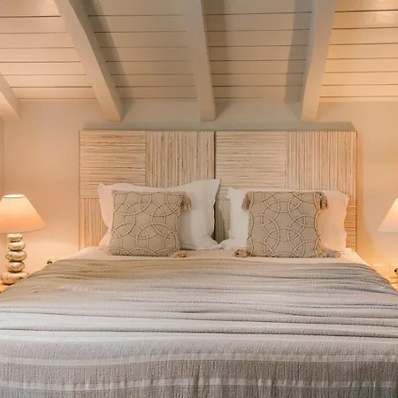 Braunis Horio Асос