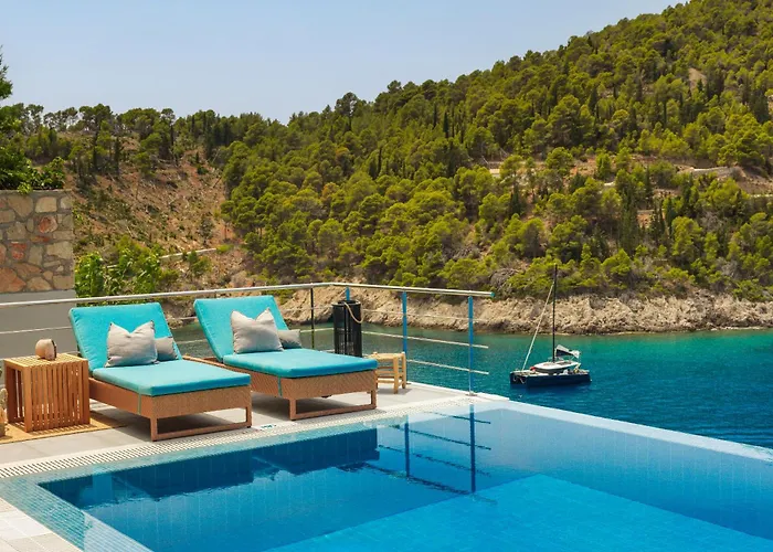 Braunis Horio * Asos